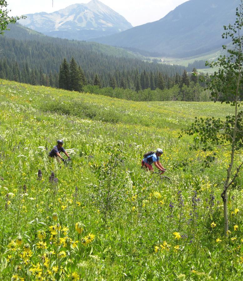 Purple Mountain Bed & Breakfast & Spa Crested Butte Eksteriør billede